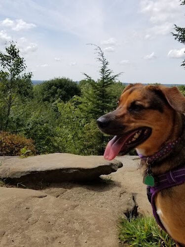 The Ledges Shelter