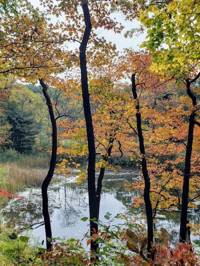 Virginia Kendall Area - Peninsula, OH