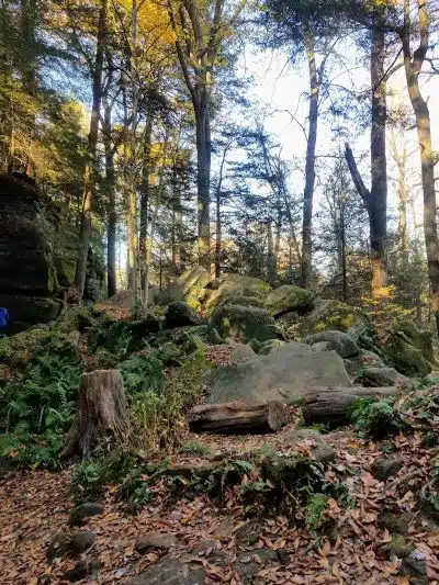 Virginia Kendall Area - Peninsula, OH