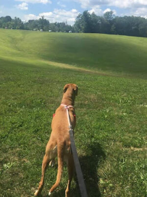 Virginia Kendall Area