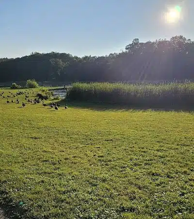 Virginia Kendall Area - Peninsula, OH