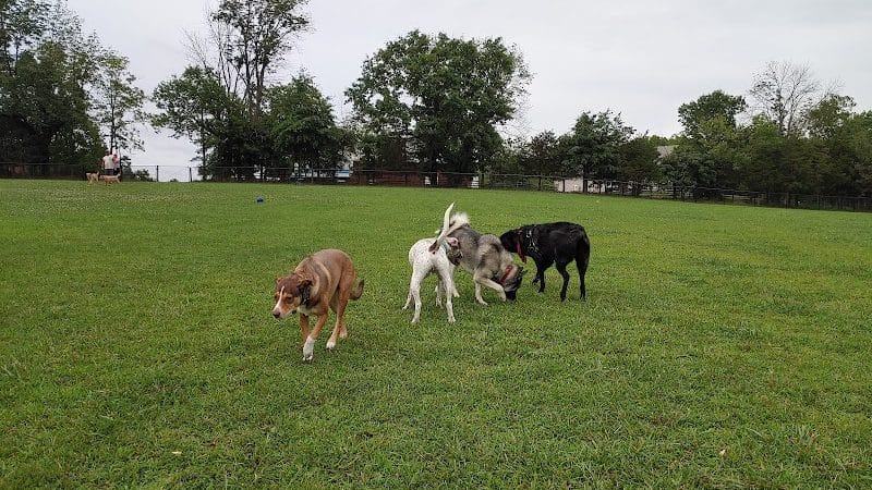 Speelhoffer Dog Park - PERKIOMENVLLE, PA