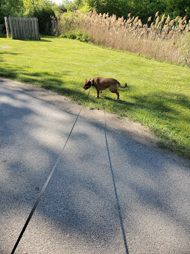 Lee Lydic Park