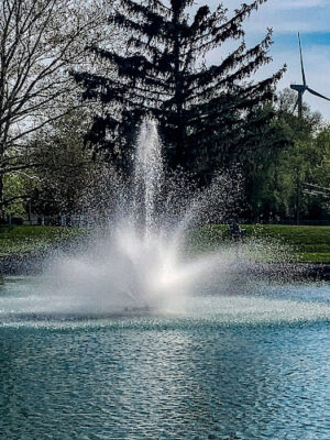 Pettisville Community Park