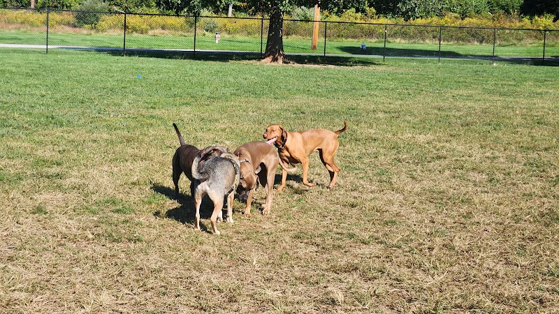 Longford Park/Reynolds' Dog Park - Phoenixville, PA