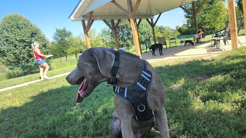 Violet Township Dog Park - Pickerington, OH