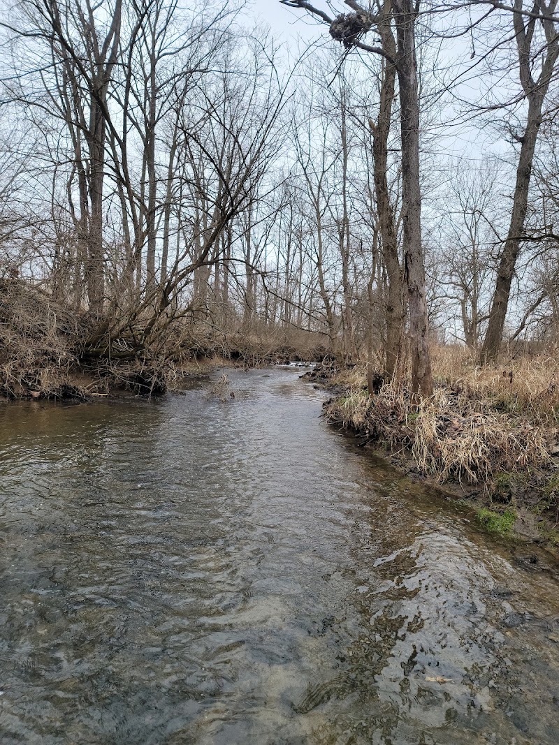 Garbry Big Woods Reserve - Piqua, OH