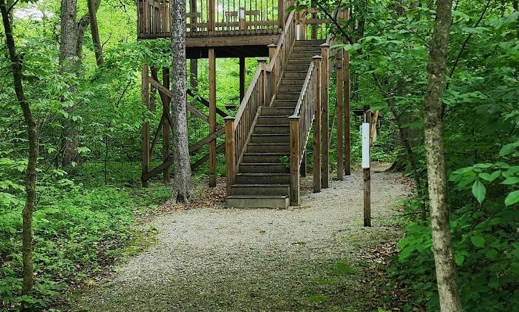 Garbry Big Woods Reserve - Piqua, OH