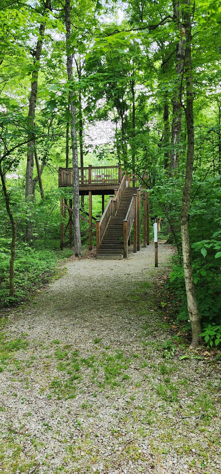 Garbry Big Woods Reserve - Piqua, OH