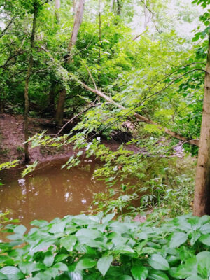 Rivers Edge Park