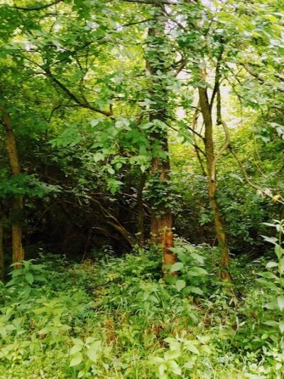 Rivers Edge Park - Piqua, OH
