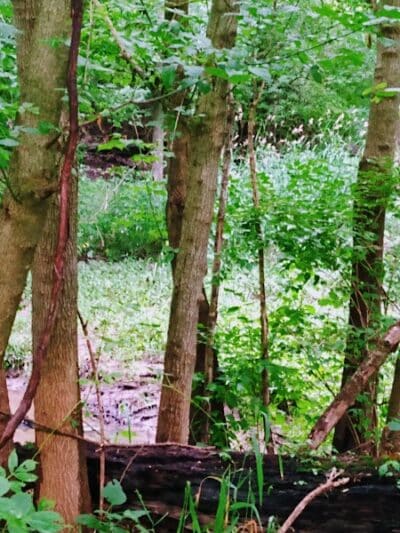 Rivers Edge Park - Piqua, OH