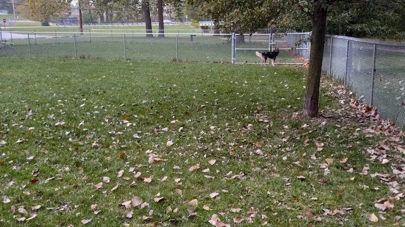 Roadside dog park - Piqua, OH
