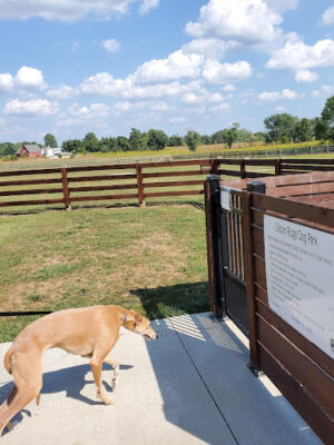 Glacier Ridge Dog Park