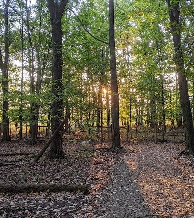 Glacier Ridge Dog Park - Plain City, OH