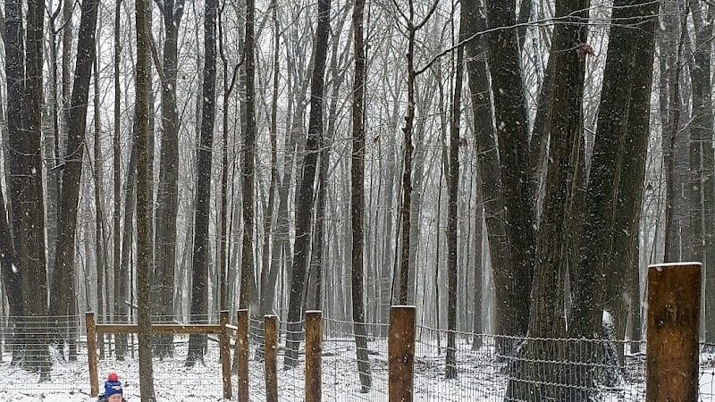Glacier Ridge Dog Park - Plain City, OH