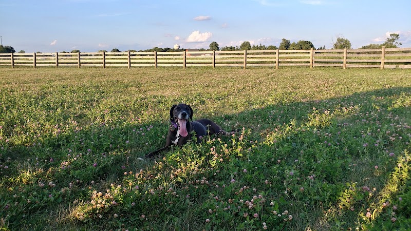 Glacier Ridge Dog Park - Plain City, OH
