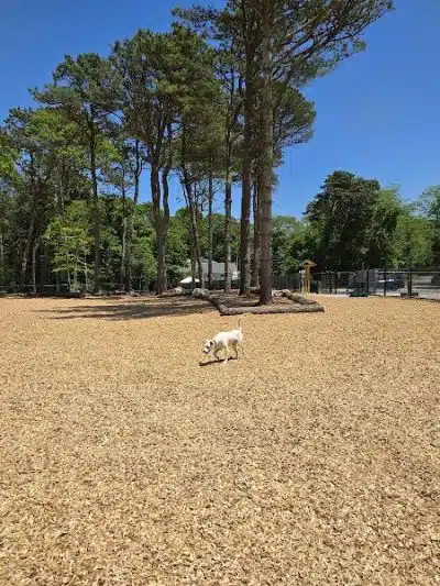Cedarville Dog Park - Plymouth, MA