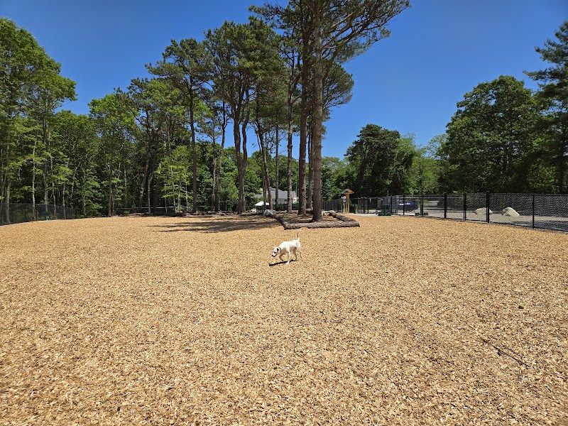 Cedarville Dog Park - Plymouth, MA