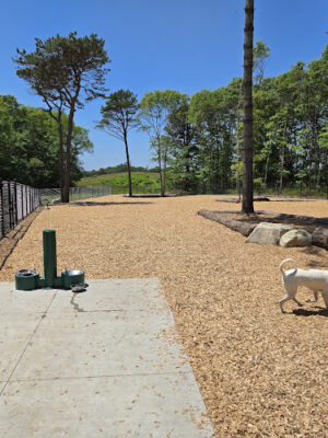 Cedarville Dog Park