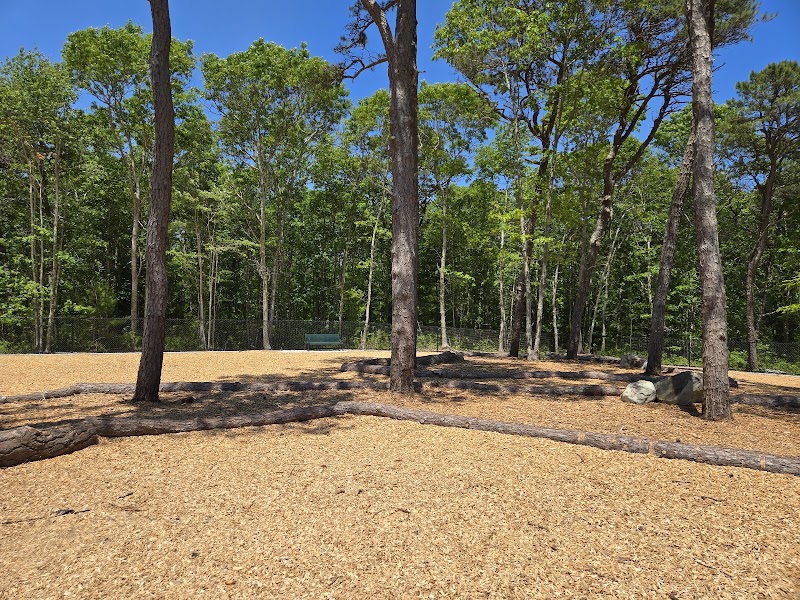 Cedarville Dog Park - Plymouth, MA