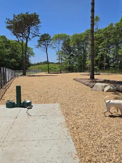Cedarville Dog Park - Plymouth, MA