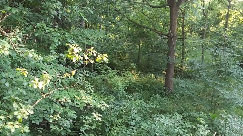 Woodworth Community Park - Poland, OH