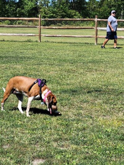 Hopfinger Zimmerman Memorial Park & Dog Park - Port Clinton, OH
