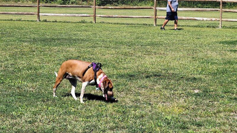 Hopfinger Zimmerman Memorial Park & Dog Park - Port Clinton, OH