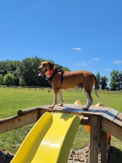 Hopfinger Zimmerman Memorial Park & Dog Park - Port Clinton, OH