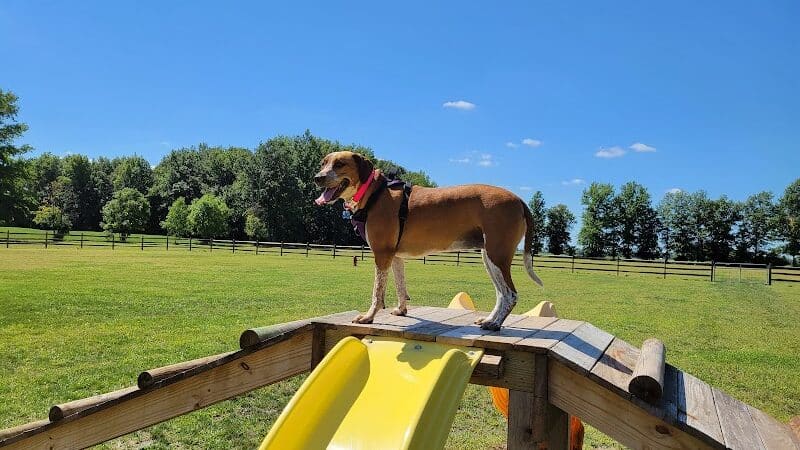 Hopfinger Zimmerman Memorial Park & Dog Park - Port Clinton, OH