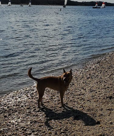 Port Jefferson Dog Beach