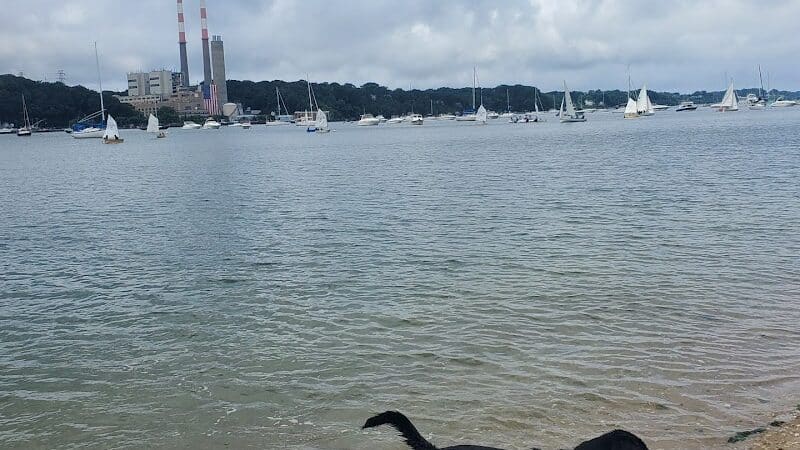 Port Jefferson Dog Beach - Port Jefferson, NY