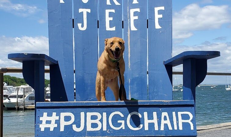 Port Jefferson Dog Beach - Port Jefferson, NY