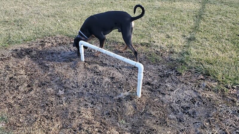 Portland Dog Park - Portland, IN