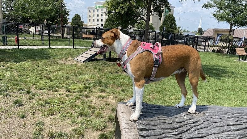 Spock Memorial Dog Park - Portsmouth, OH
