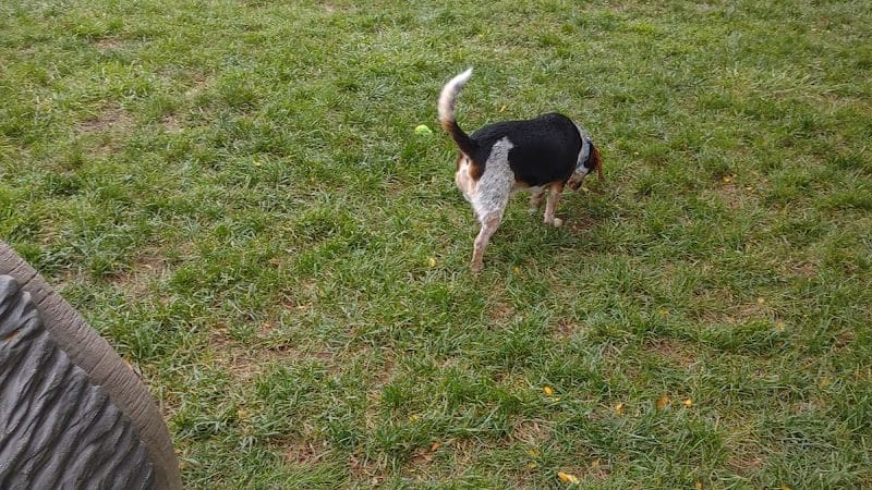 Spock Memorial Dog Park - Portsmouth, OH