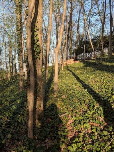 Encke Park - Radnor, PA