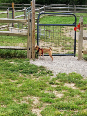 West Branch Dog Park