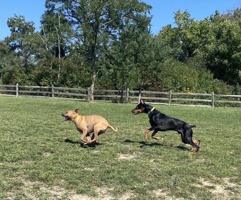 West Branch Dog Park - Ravenna, OH