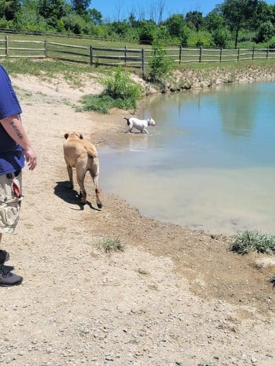 West Branch Dog Park - Ravenna, OH