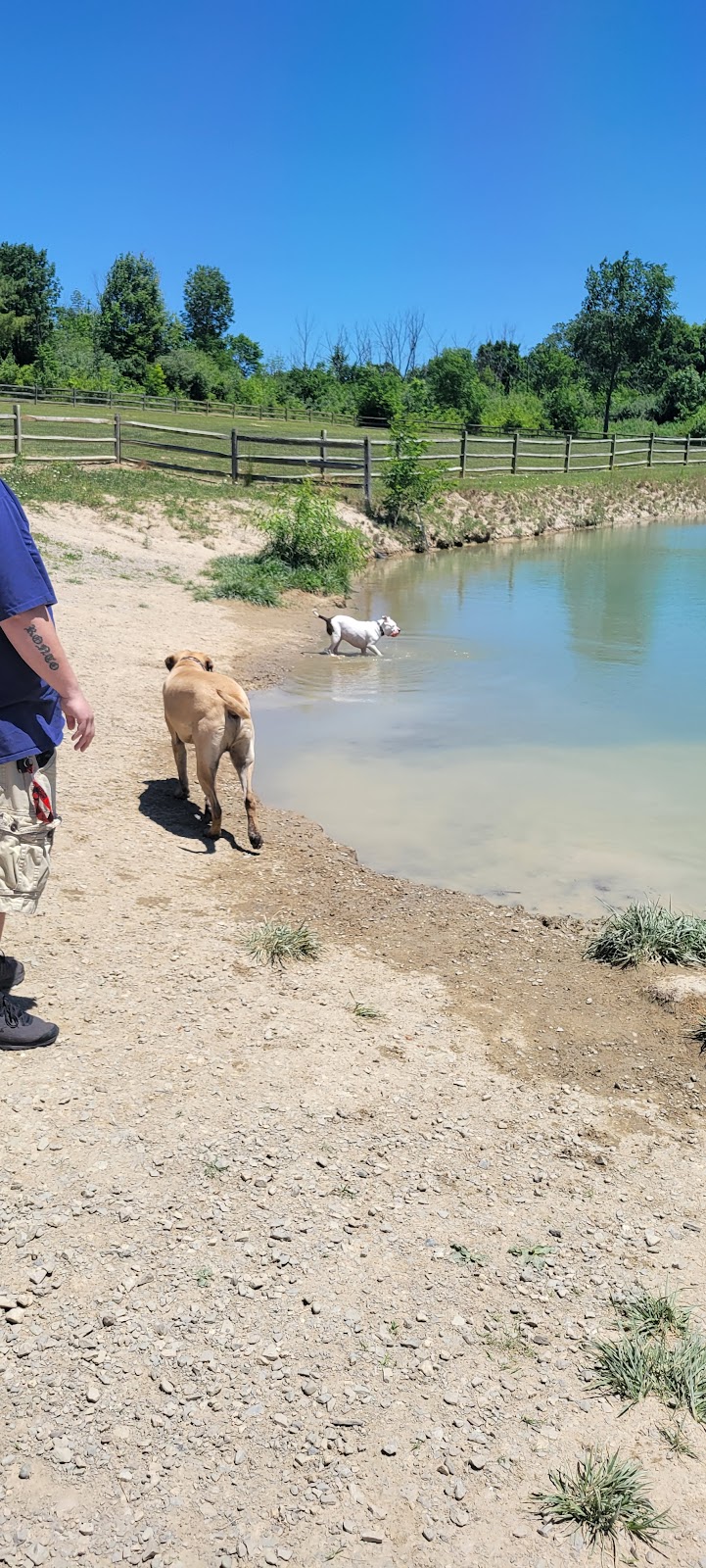 West Branch Dog Park - Ravenna, OH