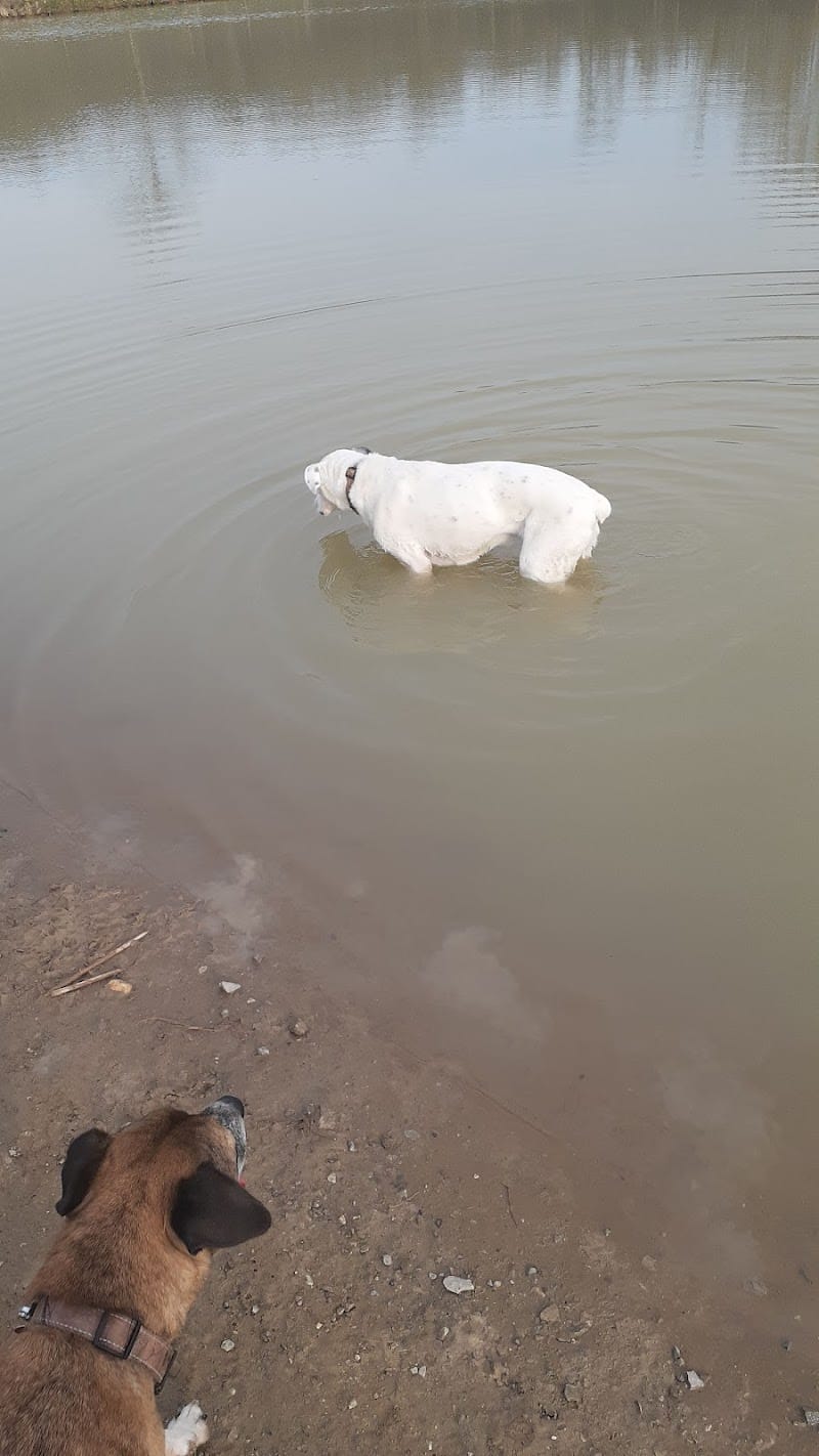 West Branch Dog Park - Ravenna, OH