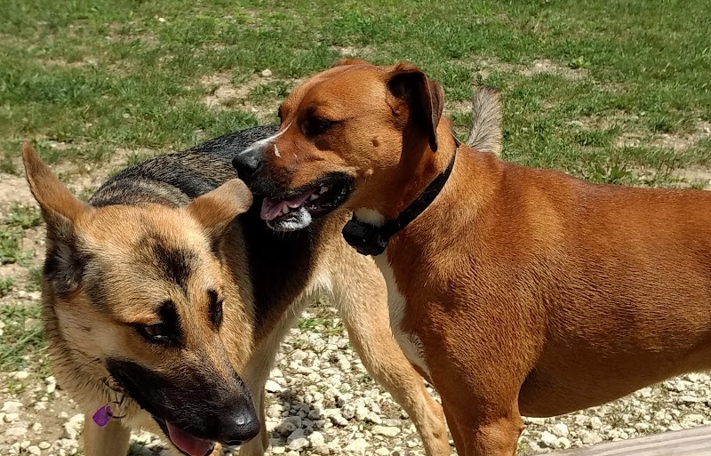 West Branch Dog Park - Ravenna, OH