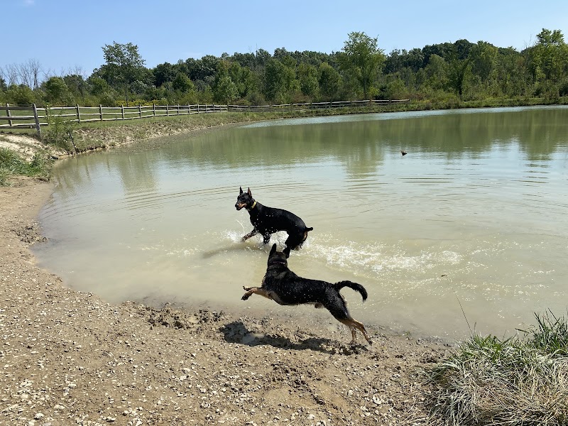 West Branch Dog Park - Ravenna, OH