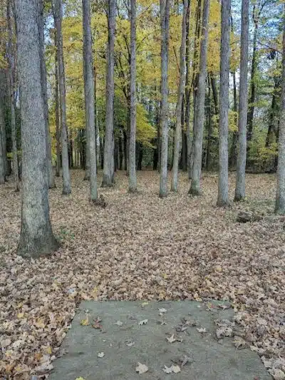 Forked Run State Park - Reedsville, OH