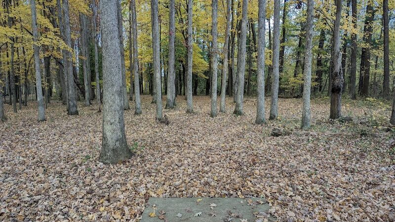 Forked Run State Park - Reedsville, OH