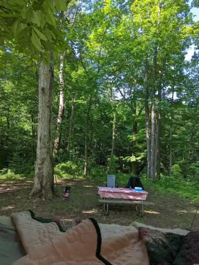 Forked Run State Park - Reedsville, OH