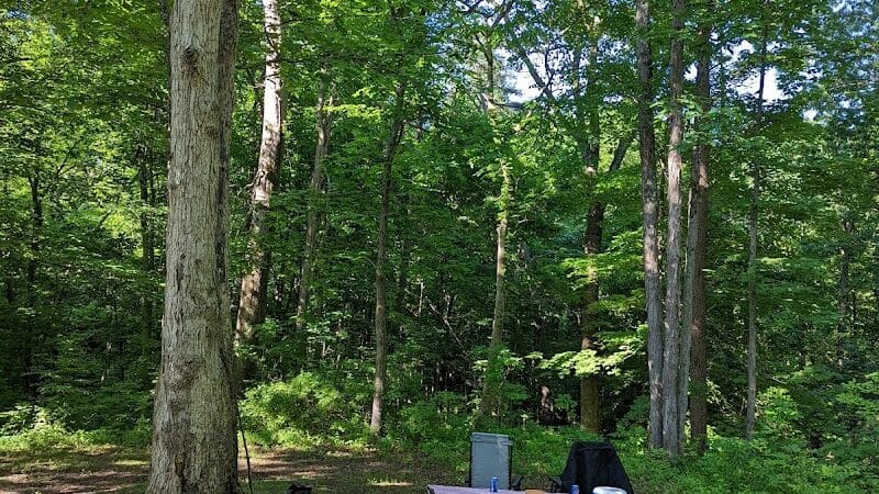 Forked Run State Park - Reedsville, OH