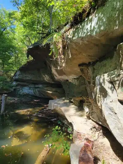 Forked Run State Park - Reedsville, OH
